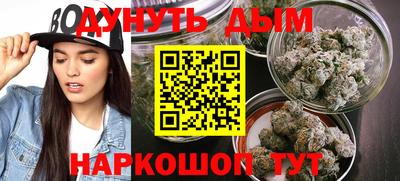 прущие грибы Будённовск