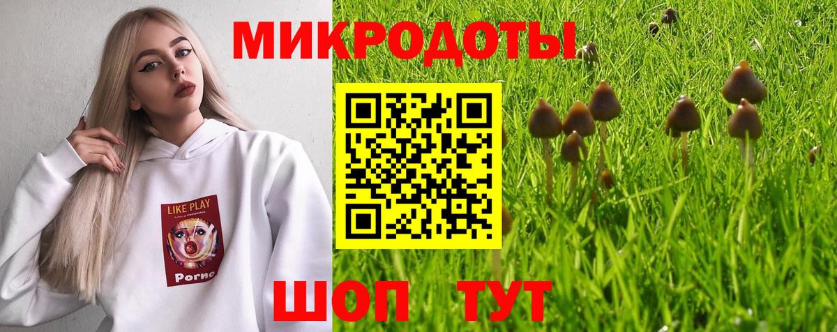Красноярск  Галлюциногенные грибы Psilocybine cubensis  Вход с VPN 